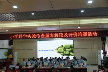 沈兆老师执教